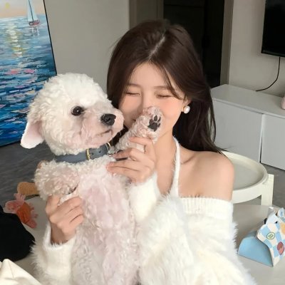 再婚进行时